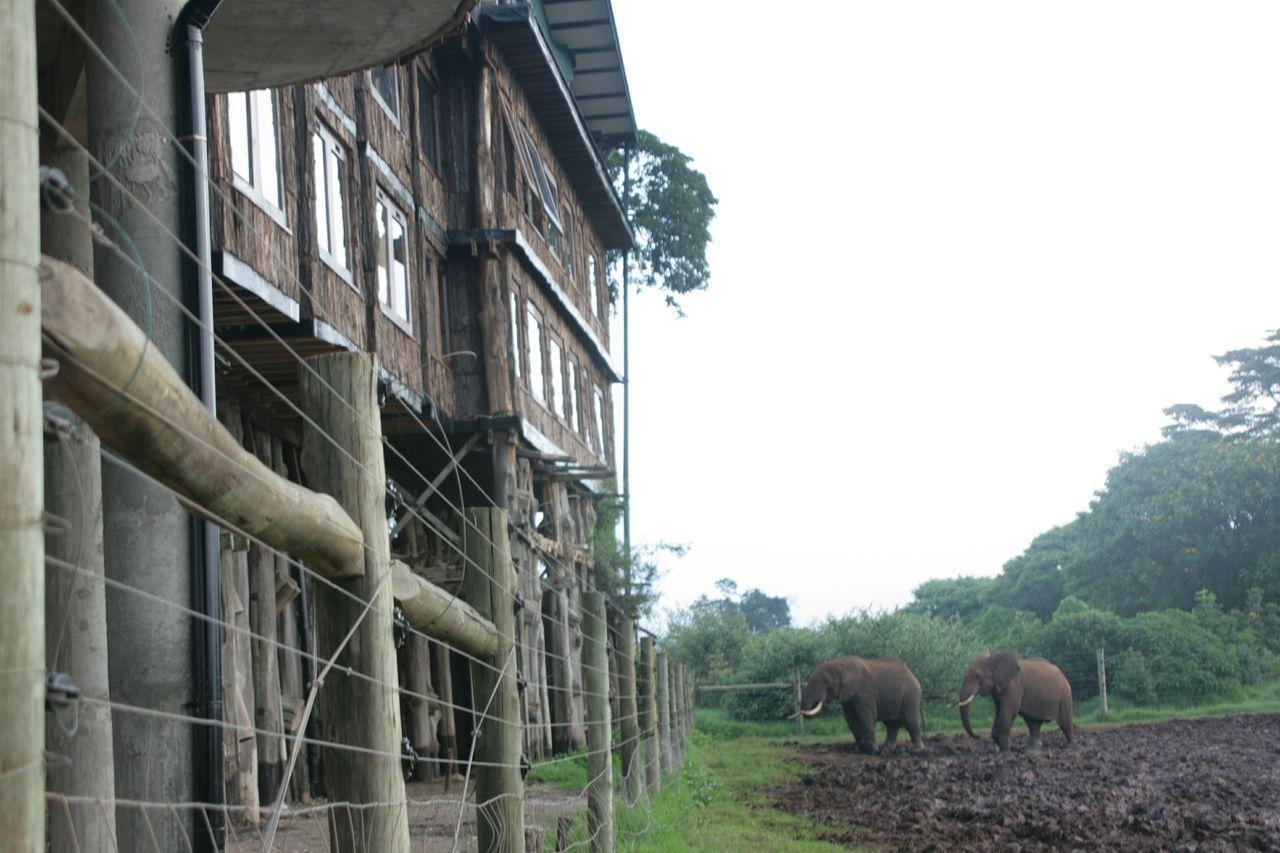 Treetops Mweiga Exterior photo