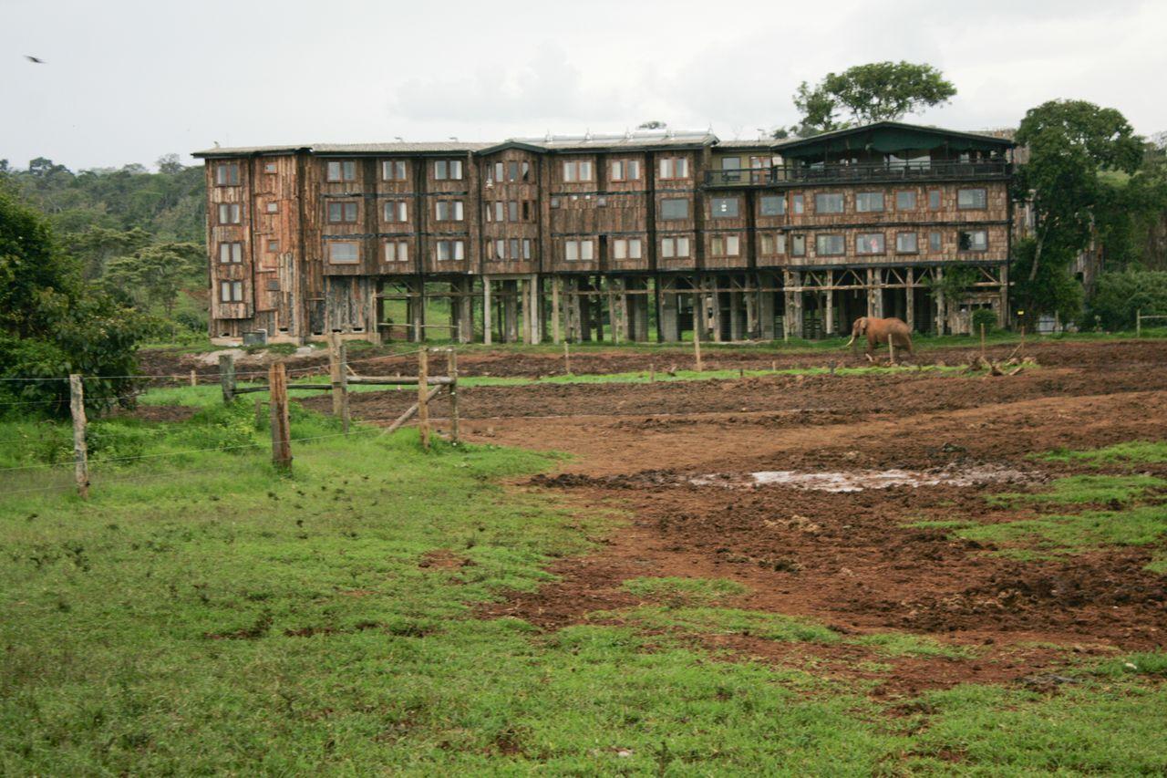 Treetops Mweiga Exterior photo